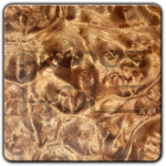 Weekspecial: Golden Madrone - 20% discount