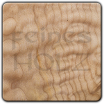 Wochenspecial: Muschelahorn - 25% Rabatt