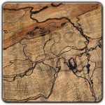 Weekspecial: spalted Beeech - 25% discount