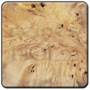 Boxwood Burl