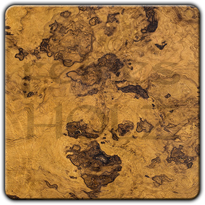 Oak Burl