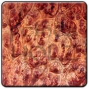 Camphor Burl