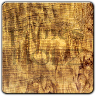 Musk Burl