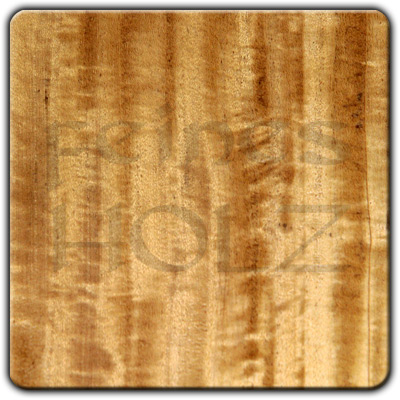 Satinwood
