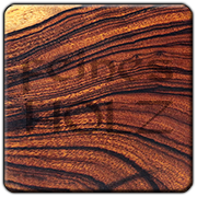 Desert Ironwood