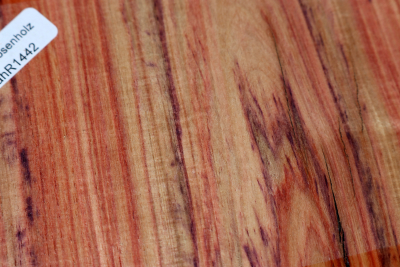 Brazilian Tulipwood 90x140x60mm - BahR1442