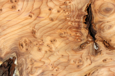 Yew Burl 285x160x55mm - Eib1813