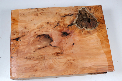 Abschnitt Eibe Maser 295x220x72mm - Eib1778