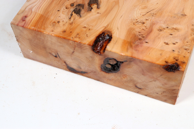 Abschnitt Eibe Maser 295x220x72mm - Eib1778