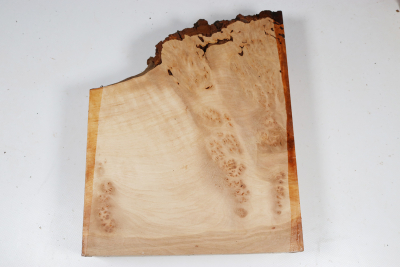 Abschnitt Erle Maser 285x230x60mm - Erle0045