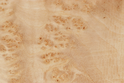 Abschnitt Erle Maser 285x230x60mm - Erle0045