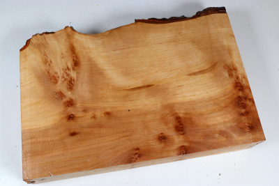 Alder Burl 315x215x60mm - Erle0041