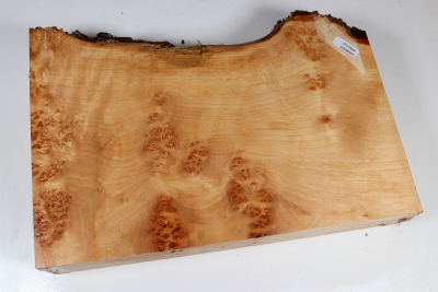 Alder Burl 315x215x60mm - Erle0041