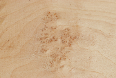 Abschnitt Erle Maser 320x220x60mm - Erle0046