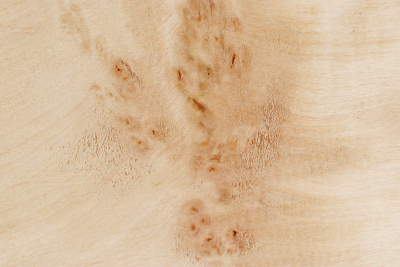 Abschnitt Erle Maser 325x220x60mm - Erle0044