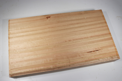 Abschnitt Eukalyptus 505x285x55mm - Euka0203