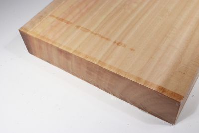 Abschnitt Eukalyptus 505x285x55mm - Euka0203