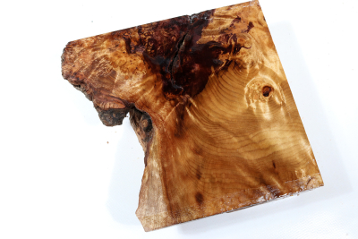 Abschnitt Golden Madrone 190x180x60mm - GMadr0534