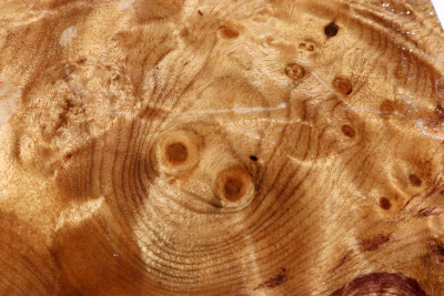 Abschnitt Golden Madrone 190x180x60mm - GMadr0534