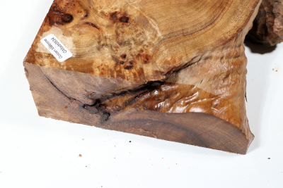 Abschnitt Golden Madrone 190x180x60mm - GMadr0534