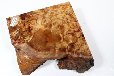 Golden Madrone Burl 190x180x60mm - GMadr0534 Golden Madrone Burl 190x180x60mm - GMadr0534