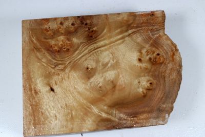 Golden Madrone Burl 210x155x58mm - GMadr0595