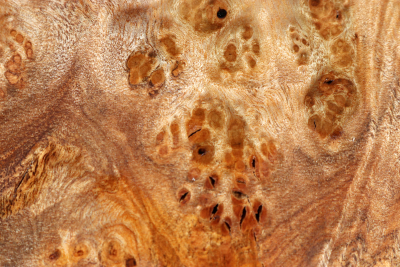 Golden Madrone Burl 210x155x58mm - GMadr0595
