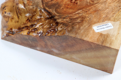 Golden Madrone Burl 210x155x58mm - GMadr0595
