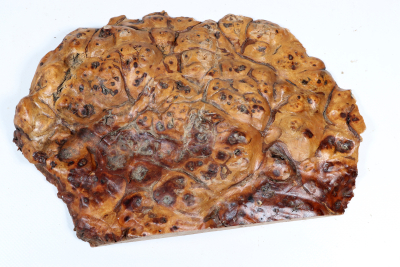 Golden Madrone Burl 260x175x35mm - GMadr0593