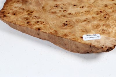 Golden Madrone Burl 260x175x35mm - GMadr0593