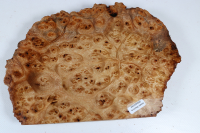 Golden Madrone Burl 260x175x35mm - GMadr0593