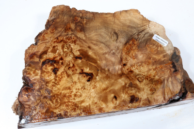 Abschnitt Golden Madrone 270x185x60mm - GMadr0533