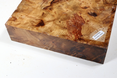 Golden Madrone Burl 290x215x55mm - GMadr0535
