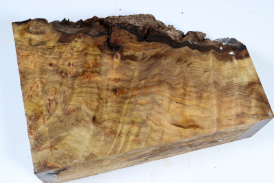 Abschnitt Laurel Maser 215x150x60mm - LauM0269