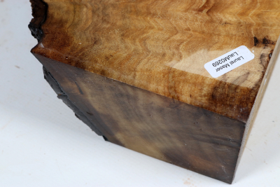 Abschnitt Laurel Maser 215x150x60mm - LauM0269