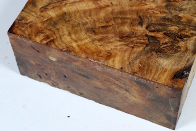 Abschnitt Laurel Maser 215x150x60mm - LauM0269