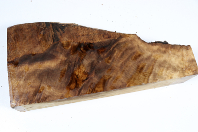 Abschnitt Laurel Maser 290x140x60mm - LauM0273