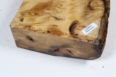 Abschnitt Laurel Maser 290x140x60mm - LauM0273