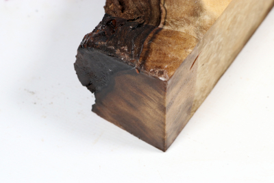 Abschnitt Laurel Maser 290x140x60mm - LauM0273