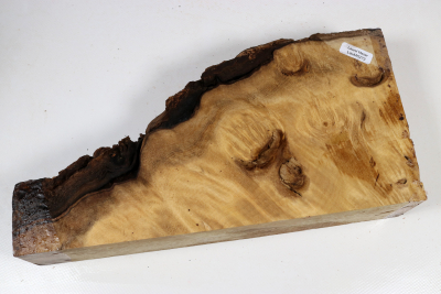 Abschnitt Laurel Maser 290x140x60mm - LauM0273