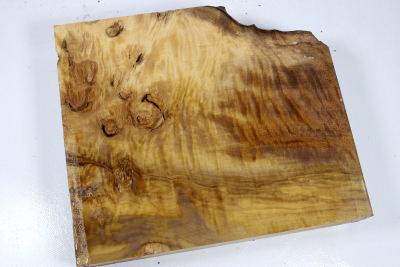 Abschnitt Laurel Maser 300x260x60mm - LauM0264