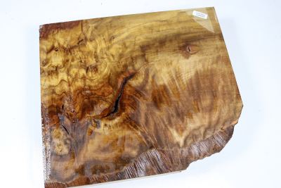 Abschnitt Laurel Maser 300x260x60mm - LauM0264
