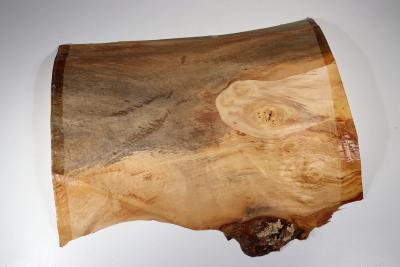 Burl Slab Linden Tree Burl 385x300x50mm - LinM0081