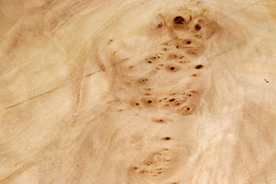 Burl Slab Linden Tree Burl 385x300x50mm - LinM0081