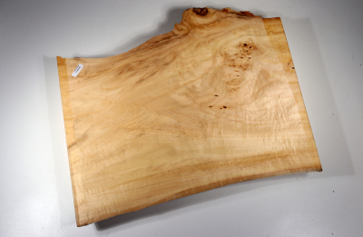 Burl Slab Linden Tree Burl 385x300x50mm - LinM0081