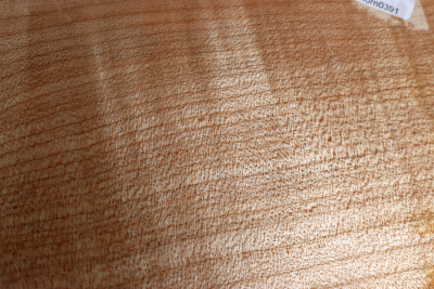 Abschnitt Muschelahorn 210x115x58mm - Ahorn0391