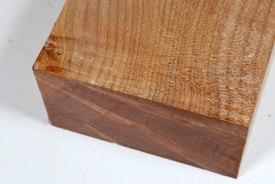 Abschnitt Muschelahorn 210x115x58mm - Ahorn0391