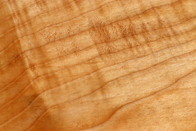 Abschnitt Muschelahorn 300x215x55mm - Ahorn0383