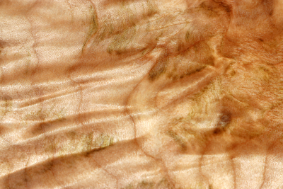 Quilted Maple plain 320x230x55mm - Ahorn0381