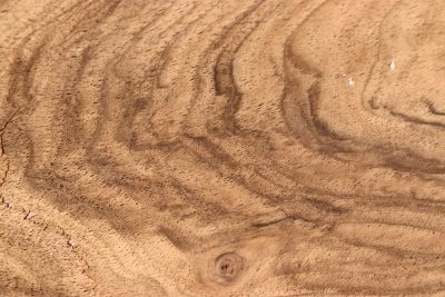 Blank Walnut 280x168x43mm - NusBM1269